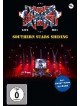 Lynyrd Skynyrd - Southern Stars Shining