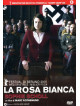 Rosa Bianca (La) - Sophie Scholl