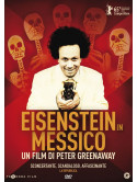 Eisenstein In Messico