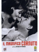 Magnifico Cornuto (Il)