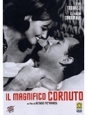 Magnifico Cornuto (Il)