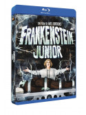 Frankenstein Junior (SE 40° Anniversario)