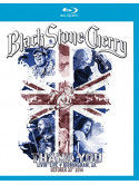Black Stone Cherry - Thank You-Livin' Live Birmingham