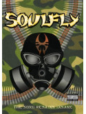 Soulfly - The Song Remains Insane