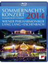 Sommernachtskonzert 2014
