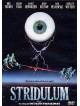 Stridulum