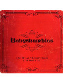 Babyshambles - Oh What A Lovely Tour (2 Dvd)