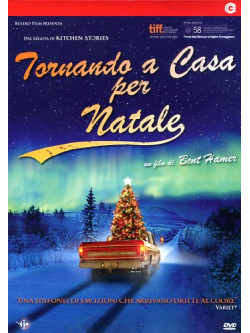 Tornando A Casa Per Natale