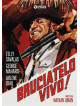 Bruciatelo Vivo
