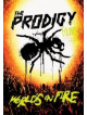 Prodigy (The) - Live - World's On Fire