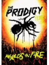 Prodigy (The) - Live - World's On Fire