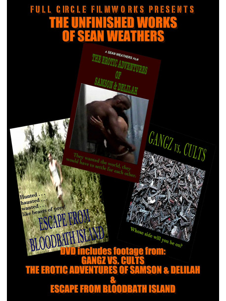Feature Film - The Unfinished Works Of Sean Weathers [Edizione: Stati Uniti]