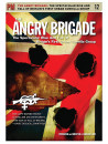 Angry Brigade: The Spectacular Rise And Fall Of Britain'S First Urban Guerilla Group [Edizione: Regno Unito]