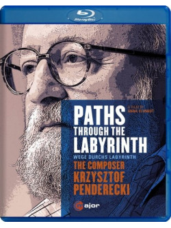 Paths Through The Labyrinth