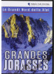 Grandi Nord Delle Alpi (Le) - Grandes Jorasses