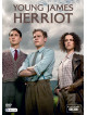 Young James Herriot (2 Dvd) [Edizione: Regno Unito]