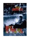 Bruce Springsteen - Blood Brothers